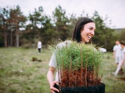 Woman holding tree transplants